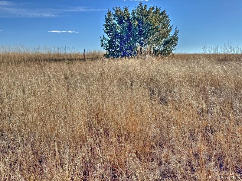TBD-L309 Morgan Pl, Colorado City, CO 81019