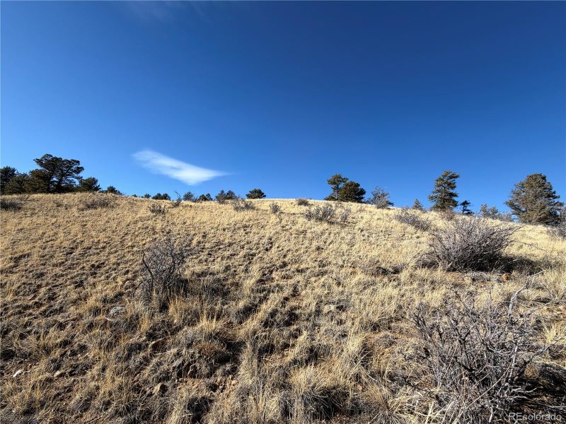 Oak St Lot 16, 17, 18, 23, 24, 25, Hartsel, CO 80449