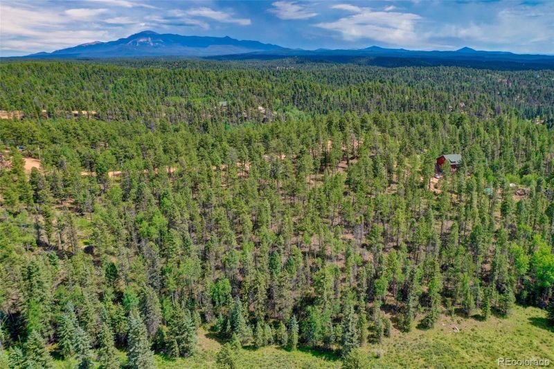 449 Woody Creek Rd, Florissant, CO 80816