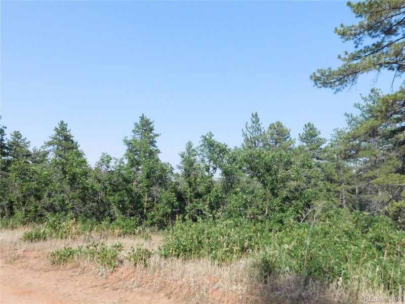 8122 Acoma Dr, Larkspur, CO 80118