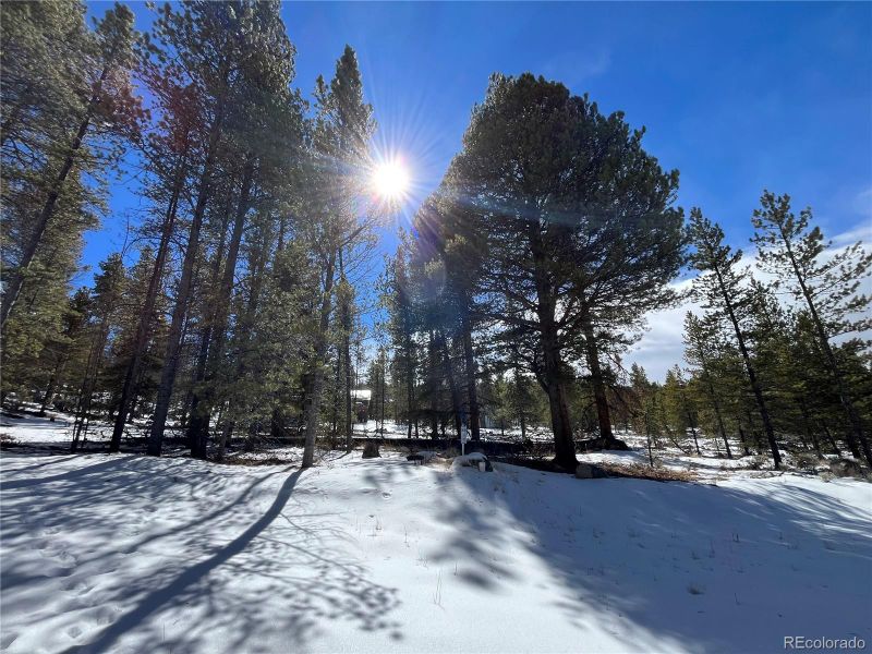 28 Juniper Dr, Twin Lakes, CO 81251