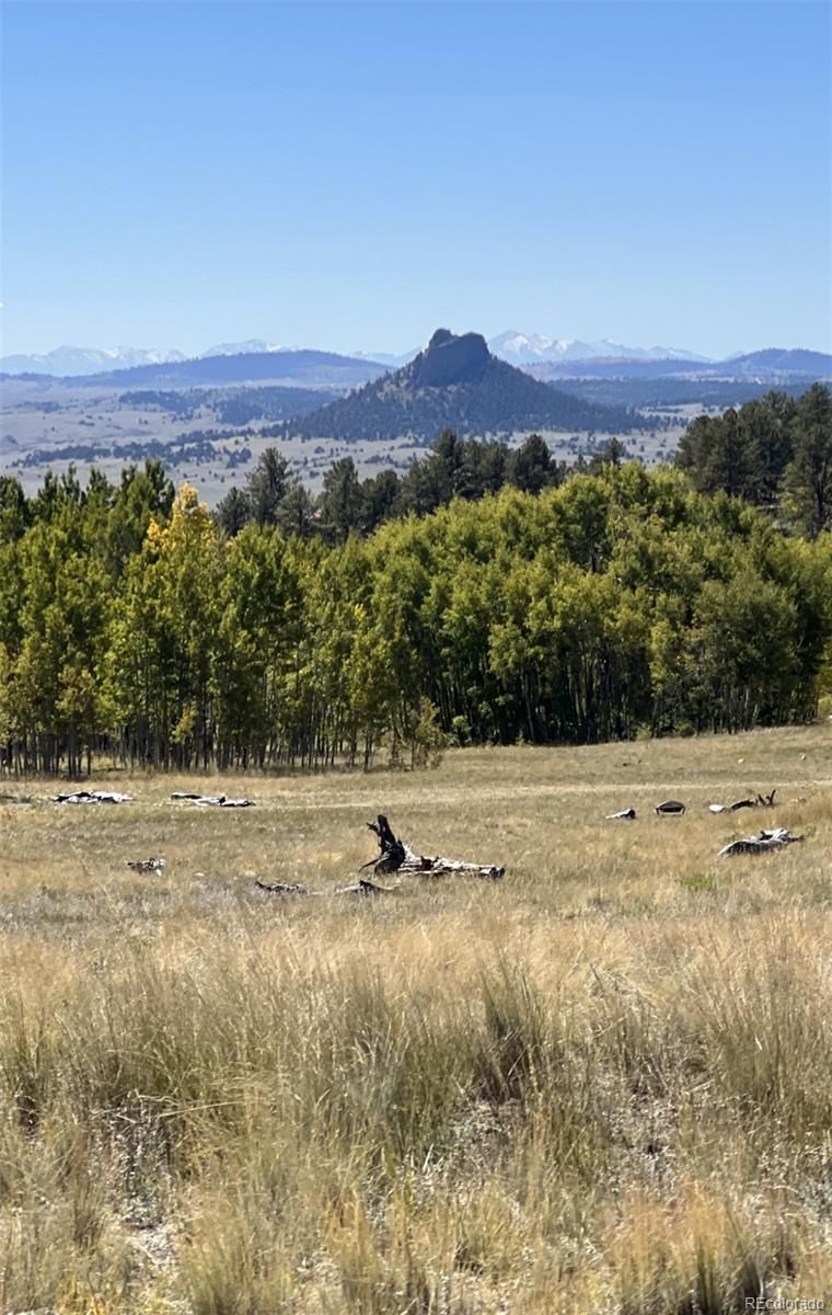 503 Sugar Loaf Ln, Jefferson, CO 80456