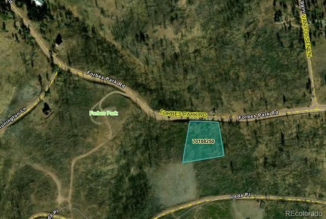 914 Forbes Park Rd, Fort Garland, CO 81133