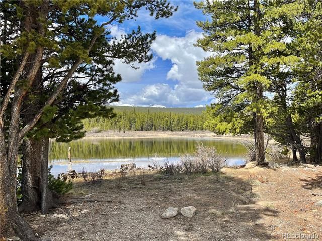 2203 Lakeside Dr, Fairplay, CO 80440