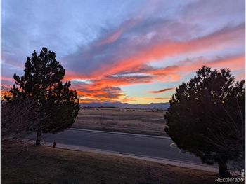 8690 Decatur St #205, Westminster, CO 80031