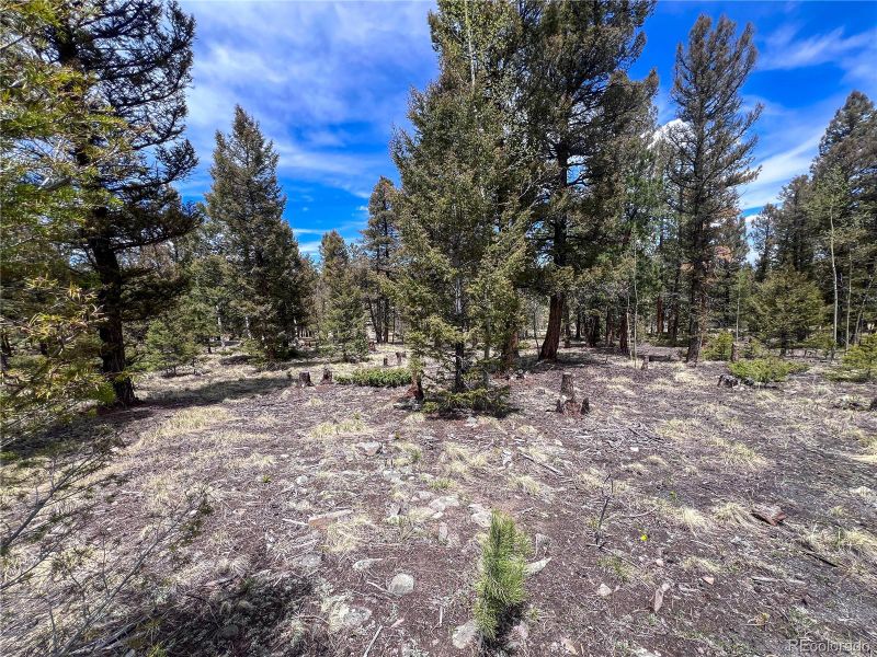 1980 Pitchfork Rd Lot 1251, Hartsel, CO 80449