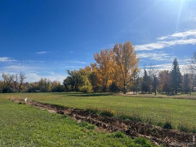 2916 N Shields St, Fort Collins, CO 80524