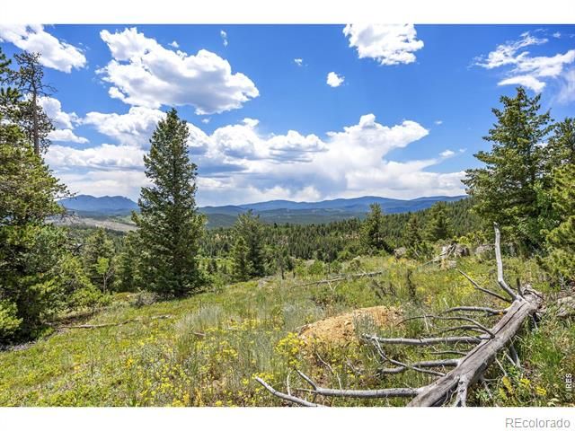 1568 County Road 103, Nederland, CO 80466
