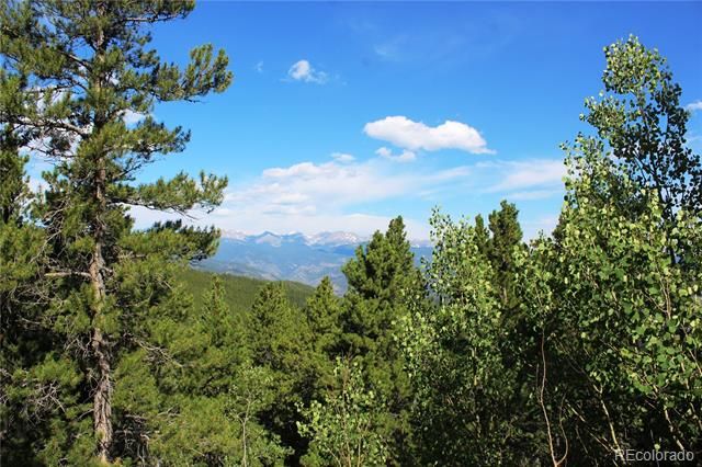 3504 Hidden Wilderness Rd, Idaho Springs, CO 80439