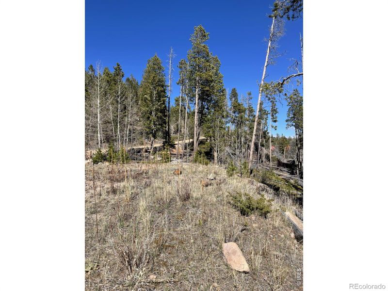 66 Piegan Ct, Red Feather Lakes, CO 80545