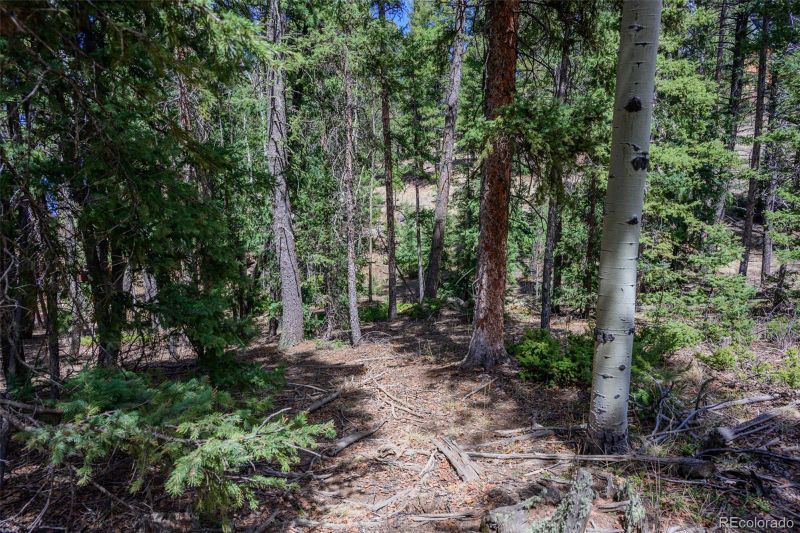 2763 N Mountain Estates Rd, Florissant, CO 80816