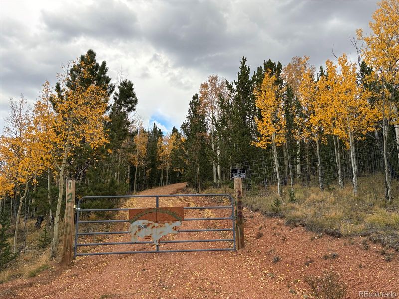 12201 S State Highway 67, Cripple Creek, CO 80813