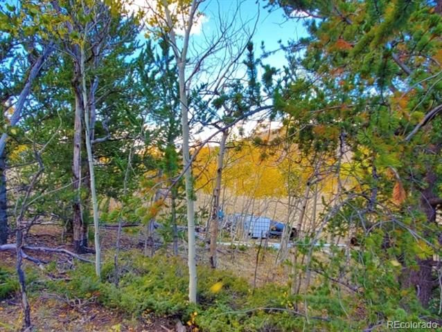2000 Hard Hickory Trl Lot 4180, Guffey, CO 80820