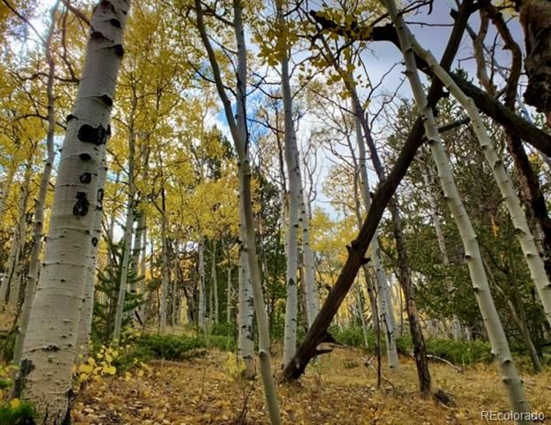 2000 Hard Hickory Trl Lot 4180, Guffey, CO 80820