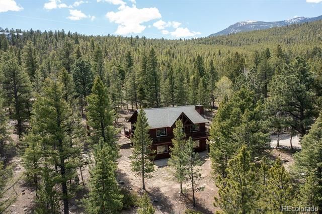 30433 National Forest Dr, Buena Vista, CO 81211