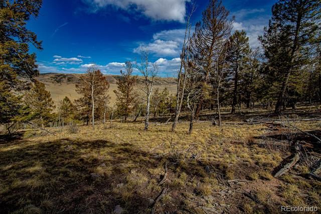 5302 Middle Fork Vi Lot 527, Fairplay, CO 80440
