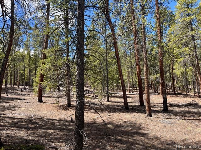1013 Sequoia Dr, Twin Lakes, CO 81251