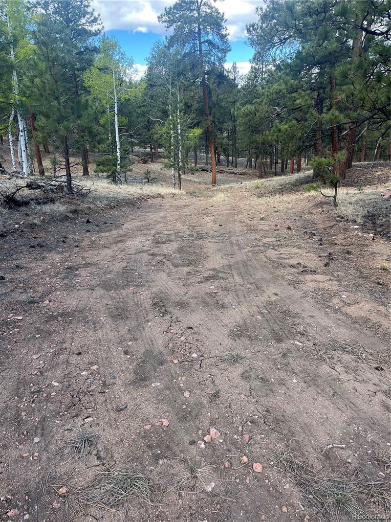 185 Sioux Trl, Westcliffe, CO 81252