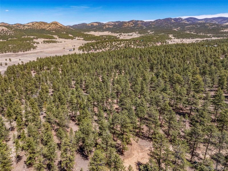 185 Sioux Trl, Westcliffe, CO 81252