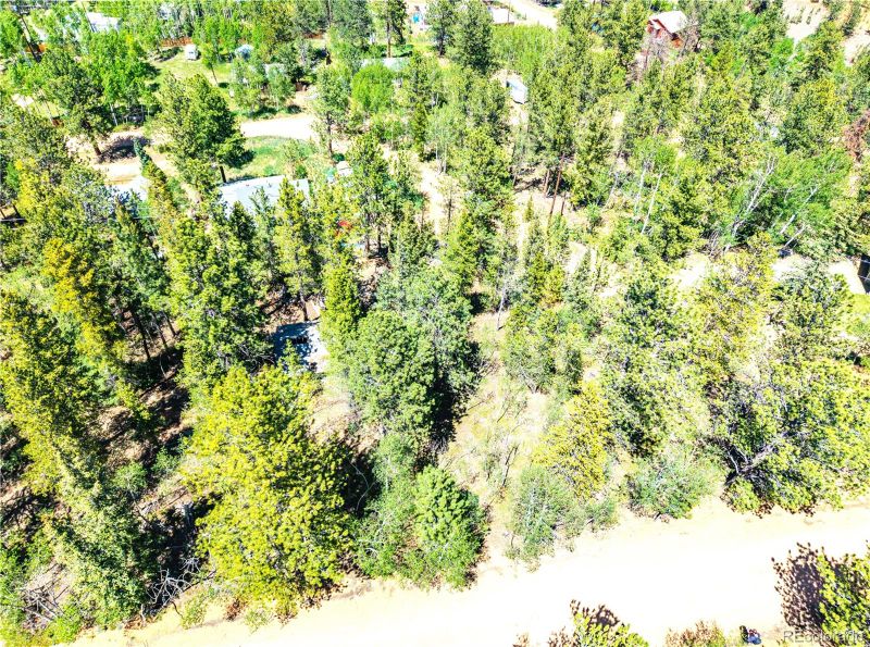 33 Smith St, Bailey, CO 80421