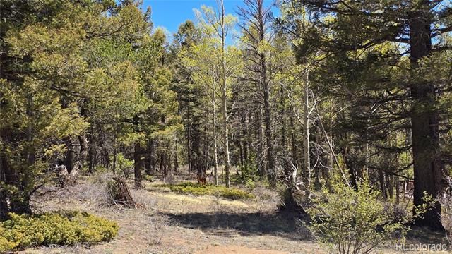 Lots 5817 - 5818 Balleroy & Covington Rd, Fort Garland, CO 81133