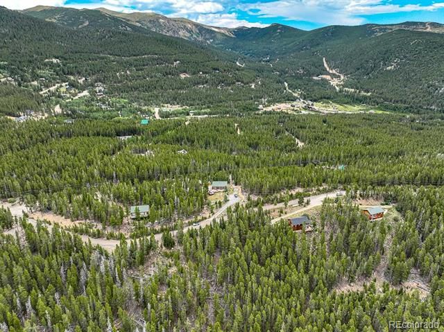 1111 Vista Rd, Idaho Springs, CO 80452