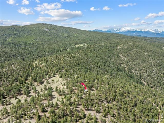 1825 Soul Shine Rd, Drake, CO 80515