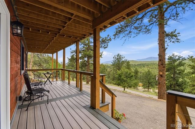 202 Badger Ln, Bailey, CO 80421