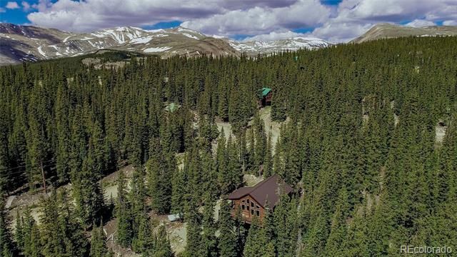 566 Miners Way, Fairplay, CO 80440