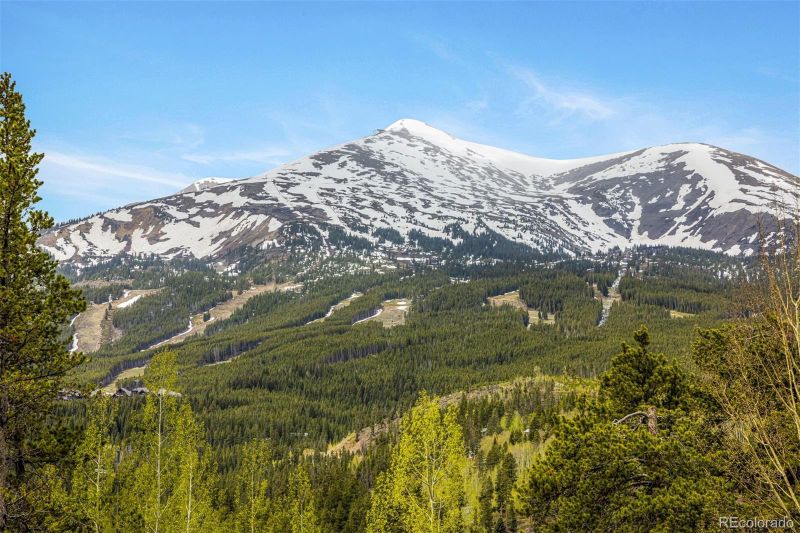 11 Dyer Trl, Breckenridge, CO 80424