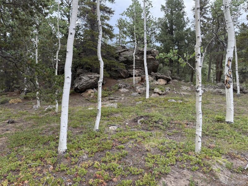 1 Hawk Way, Black Hawk, CO 80422