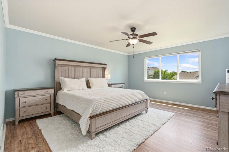 2055 Vineyard Ct, Windsor, CO 80550