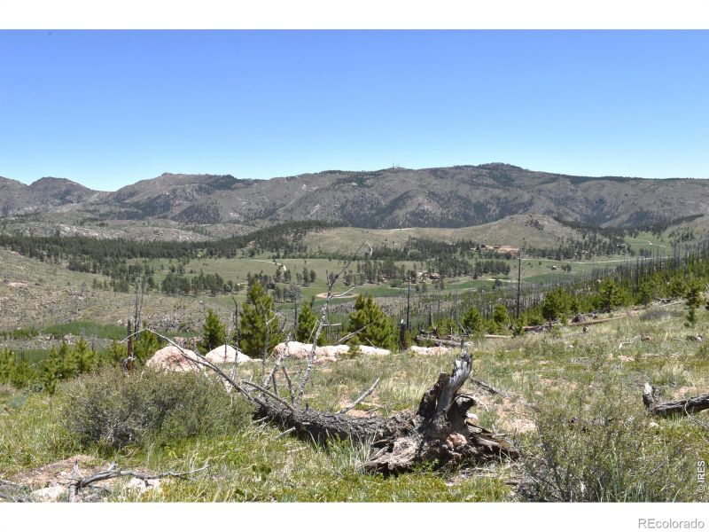 1989 Spencer Mountain Rd, Bellvue, CO 80512
