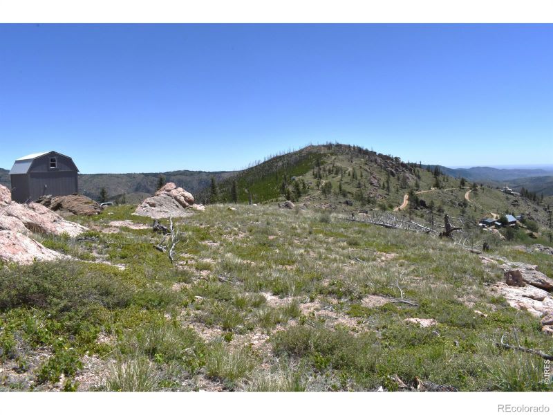 1989 Spencer Mountain Rd, Bellvue, CO 80512