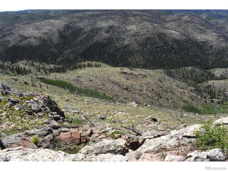 1989 Spencer Mountain Rd, Bellvue, CO 80512