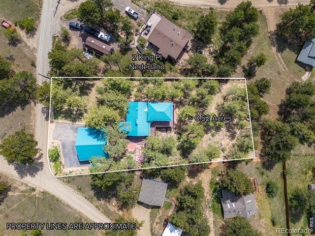 2 King Pl, Nederland, CO 80466