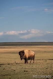 33185 Highway 9, Hartsel, CO 80449