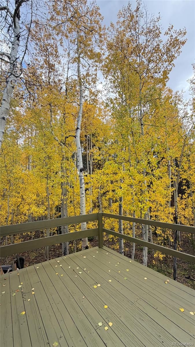 2602 Empire Valley Dr, Leadville, CO 80461