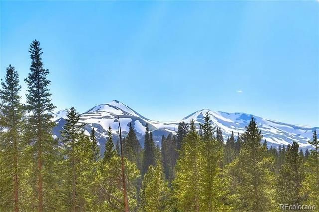 103 Cr 529 Lot 14, Breckenridge, CO 80424