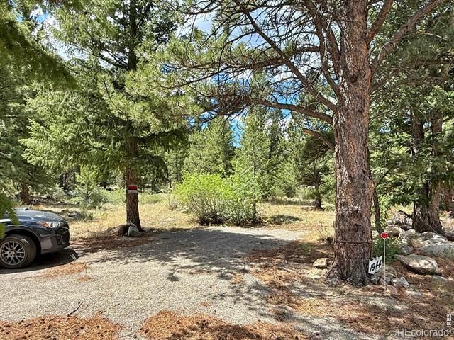 1944 Alvarado Rd, Georgetown, CO 80444
