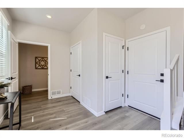 746 Pokeweed Ln, Fort Collins, CO 80524