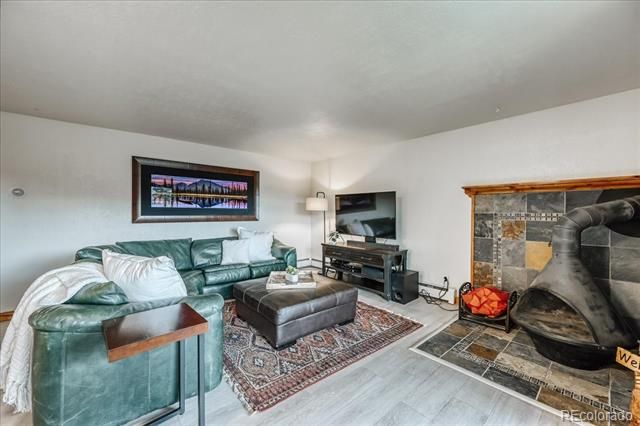 365 Salt Lick Cir, Silverthorne, CO 80498