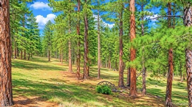196 Freeman Dr, Florissant, CO 80816