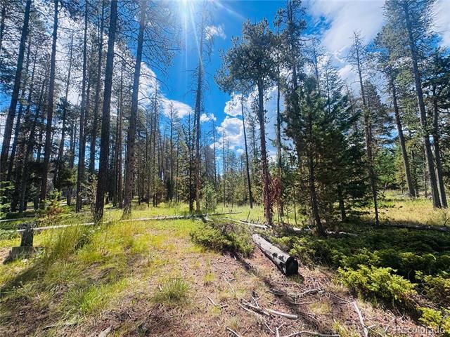 Lot 2m Vickery Ave, Conifer, CO 80433