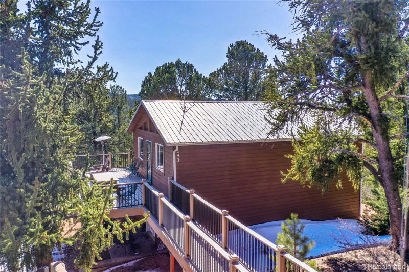 493 Horseshoe Dr, Divide, CO 80814