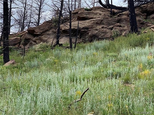 LOT 218 Wergeles Pl, Fort Garland, CO 81133