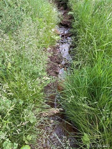LOT 219 Wergeles Pl, Fort Garland, CO 81133