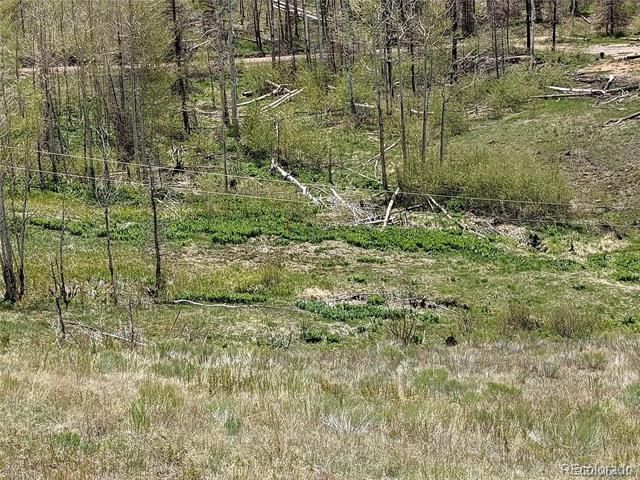 951 Van Fossan Ln, Fort Garland, CO 81133