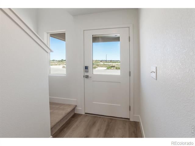 331 Flourish Ln, Fort Collins, CO 80524