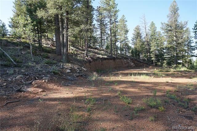 422 Spring Valley Dr, Divide, CO 80814